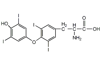 L-甲狀腺素